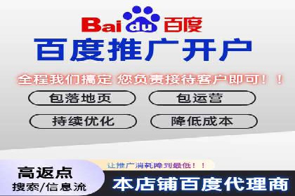 百度平台推广案例：低成本营销的成功之道